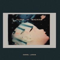 Lanois, Daniel: Flesh and Machine